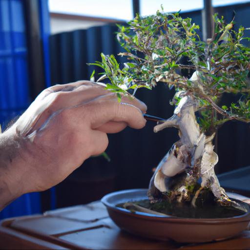 Jakie są najważniejsze wskazówki dotyczące pielęgnacji drzewka bonsai w domu